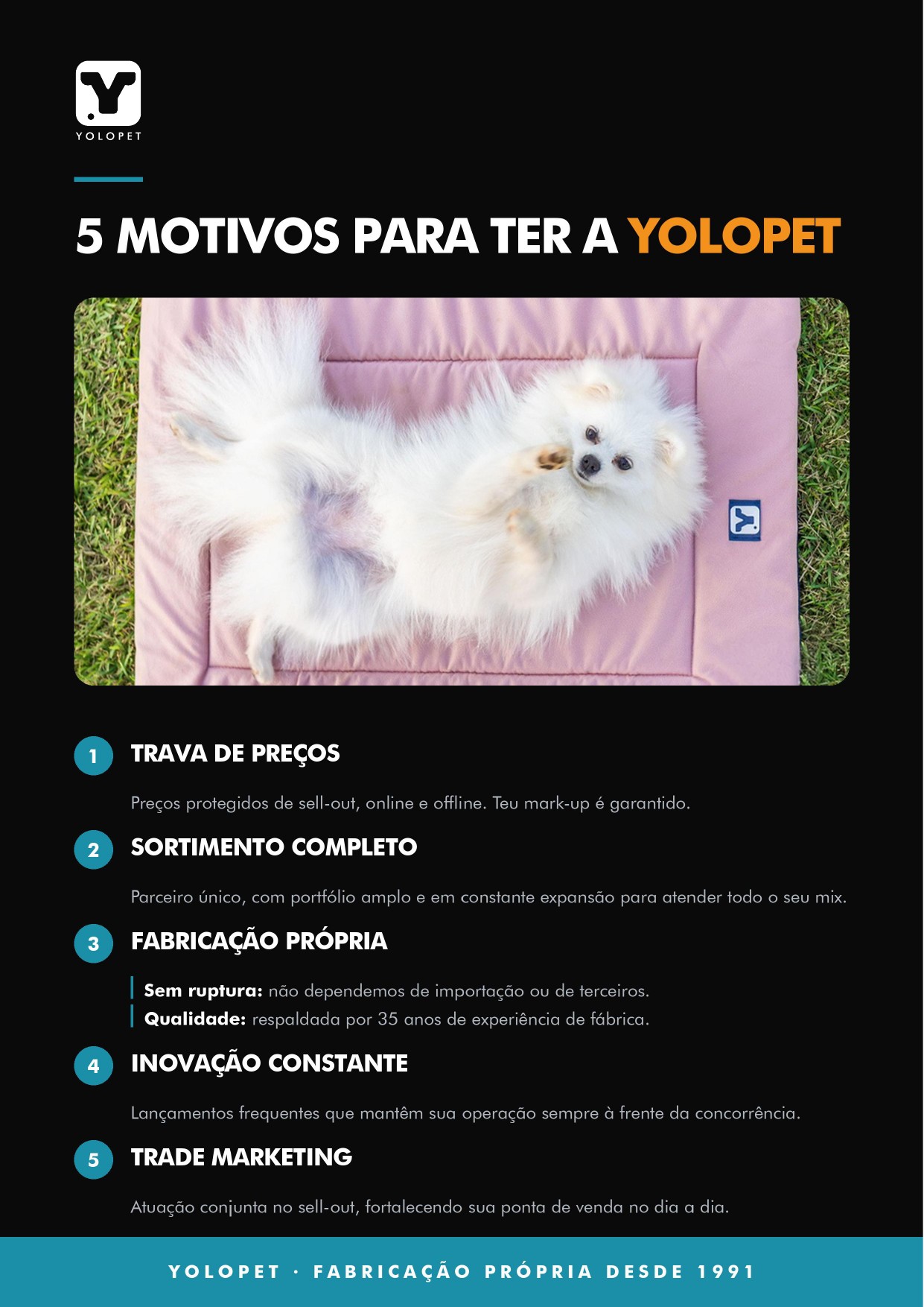 YOLOPET — 5 motivos para ter a YOLOPET